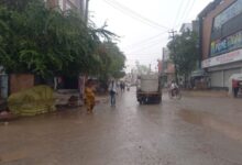 Photo of हरियाणा में बारिश व तेज हवा का अलर्ट: गेहूं-सरसों की फसल में नुकसान का डर