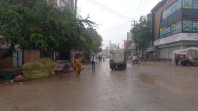 Photo of हरियाणा में बारिश व तेज हवा का अलर्ट: गेहूं-सरसों की फसल में नुकसान का डर