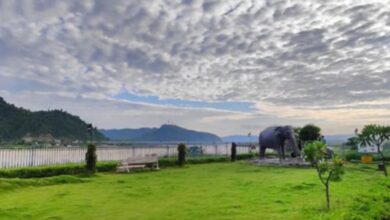 Photo of दिल्ली के प्राकृतिक फेफड़े बनेंगे 10 नमो वन, पहला मैदान गढ़ी में खुलने को तैयार; उत्सव की तैयारी