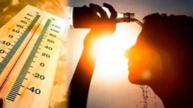 Photo of ओडिशा में हीटवेव जैसे हालात: 37.6 डिग्री पहुंचा झारसुगुड़ा का तापमान