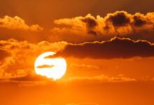 Photo of राजस्थान में समय से पहले गर्मी की दस्तक