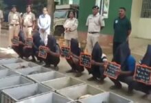 Photo of ओडिशा-आंध्र सीमा पर वन्यजीव तस्करी का भंडाफोड़