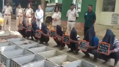 Photo of ओडिशा-आंध्र सीमा पर वन्यजीव तस्करी का भंडाफोड़