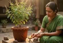 Photo of भारी कर्ज और दुखों से चाहिए छुटकारा? बस कर लें तुलसी से जुड़े ये उपाय