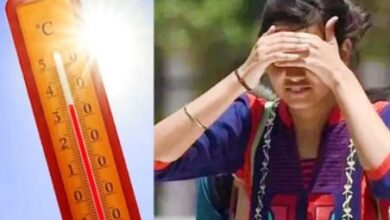Photo of पंजाब में गर्मी का सितम: पारा 42 डिग्री पार, दो दिन हीट वेव का यलो अलर्ट