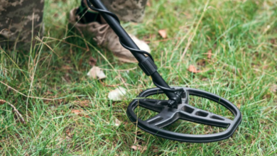 Photo of  डीयू के दो कॉलेजों को बम से उड़ाने की धमकी, खाली कराया गया कैंपस