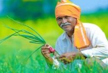 Photo of CM किसान योजना 14वीं किस्त अपडेट: क्या 82 लाख किसानों के खाते में आने वाले हैं ₹4000?