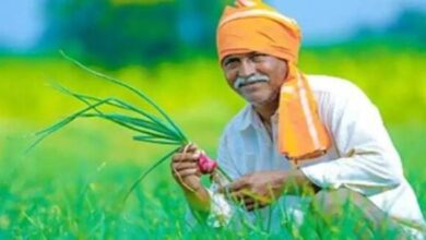 Photo of CM किसान योजना 14वीं किस्त अपडेट: क्या 82 लाख किसानों के खाते में आने वाले हैं ₹4000?