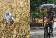 Photo of आंधी-बारिश और ओलावृष्टि से जनजीवन अस्त-व्यस्त, पंजाब में फसलें तबाह