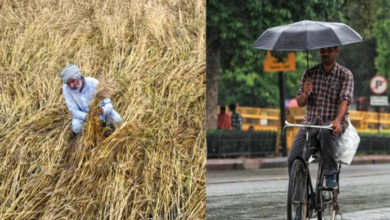 Photo of आंधी-बारिश और ओलावृष्टि से जनजीवन अस्त-व्यस्त, पंजाब में फसलें तबाह