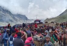 Photo of चारधाम यात्रा: घोड़ा-खच्चरों के संचालन के लिए नई SOP, पीटने और तेज दौड़ाने पर रोक