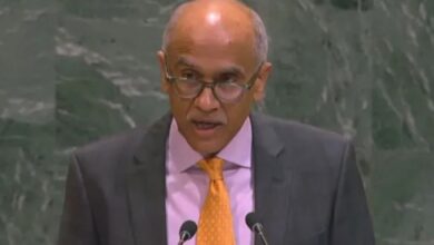 Photo of  आतंकवाद और कश्मीर के मुद्दे पर UN में भारत ने पाकिस्तान को फिर फटकारा