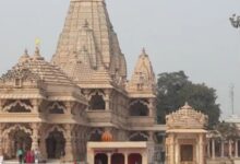 Photo of सांवलिया सेठ के खजाने में रिकॉर्ड वृद्धि