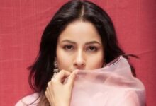 Photo of Shehnaaz Gill ने फैंस को लेकर कही ये बात