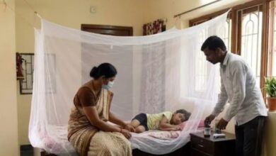 Photo of अब केवल मानसून की बीमारी नहीं रहा डेंगू! मामूली वायरल बुखार समझकर न करें इग्नोर