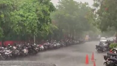 Photo of जालंधर में झमाझम बारिश, उमस भरी गर्मी से लोगों को मिली राहत