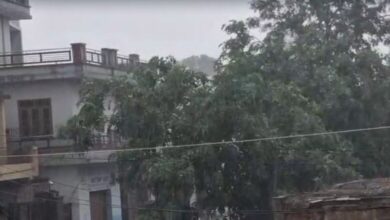 Photo of पंजाब में बरसात जारी: जालंधर में सुबह झमाझम, रात का पारा 1.3 डिग्री गिरा