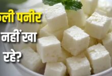 Photo of पनीर समझकर कहीं ‘एनालॉग’ तो नहीं खा रहे? जानिए क्या है ये चीज