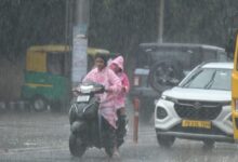 Photo of पंजाब में 26 फीसदी बारिश कम: बांधों में घटा जलस्तर, खेती और बिजली संकट का खतरा