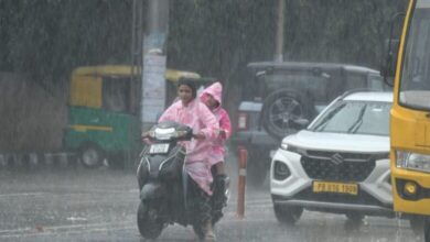Photo of पंजाब में 26 फीसदी बारिश कम: बांधों में घटा जलस्तर, खेती और बिजली संकट का खतरा