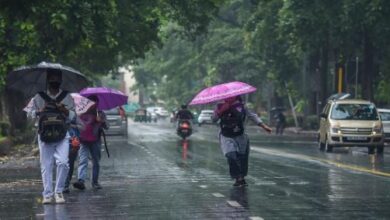 Photo of पंजाब में 6 अगस्त तक भारी बारिश का Alert, मौसम विभाग ने जारी की चेतावनी